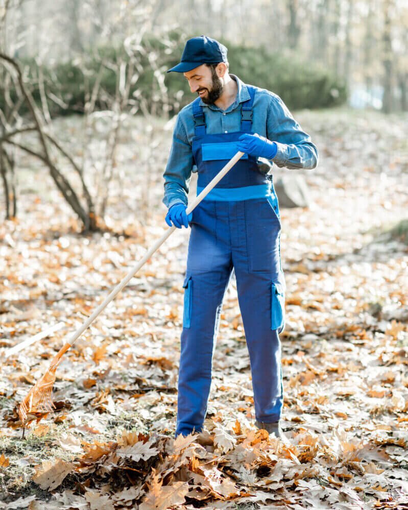 Sweeper cleaning the garden